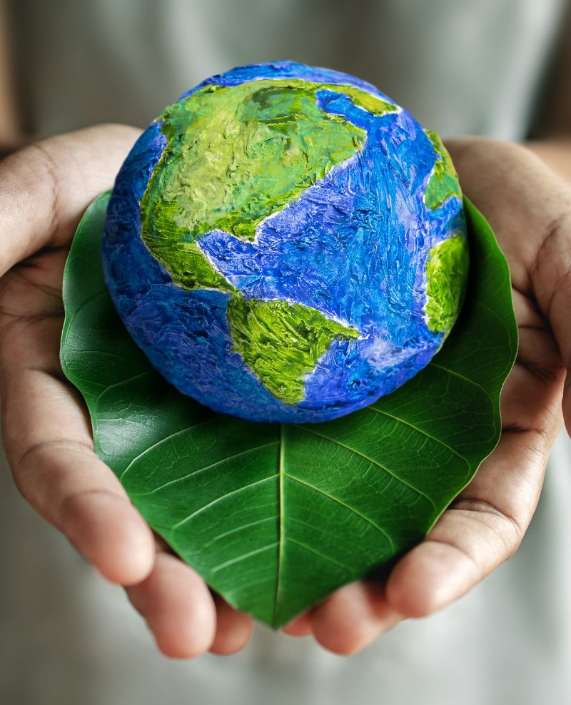 Sostenibilidad-alimentaria