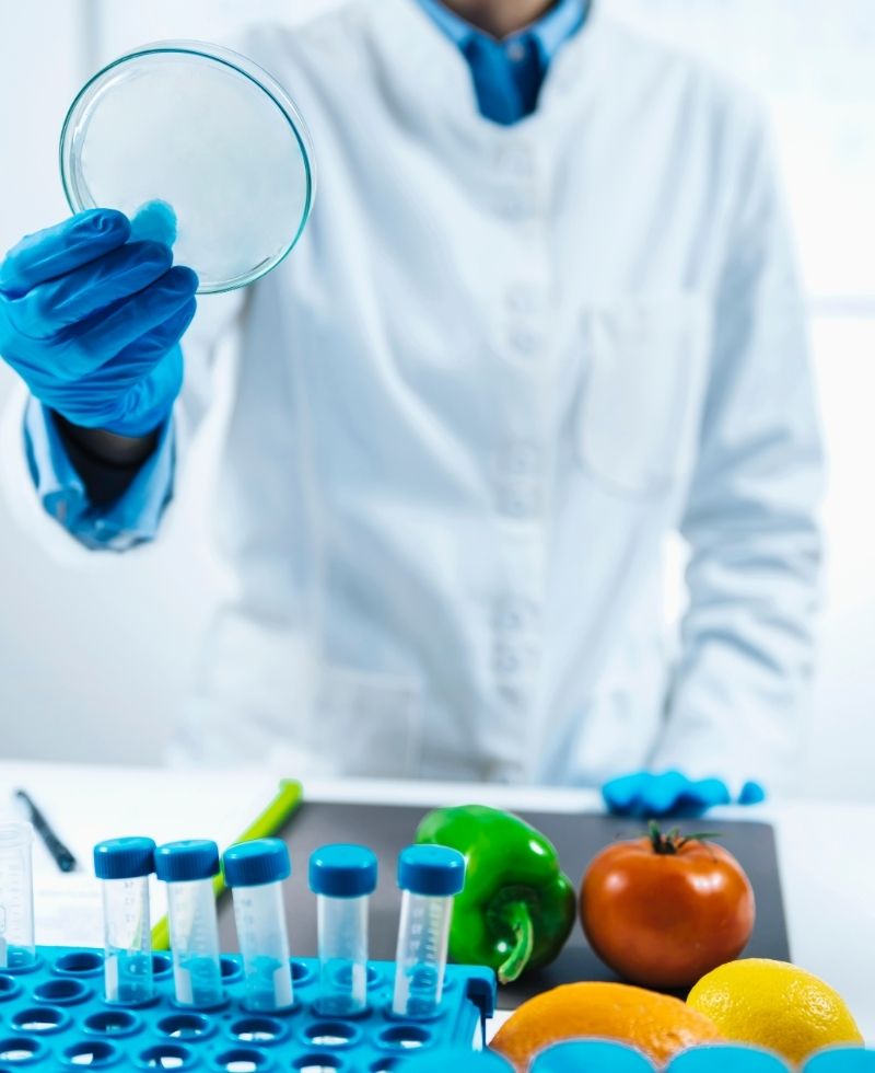 externalizacion-calidad-seguridad-alimentaria-rqr