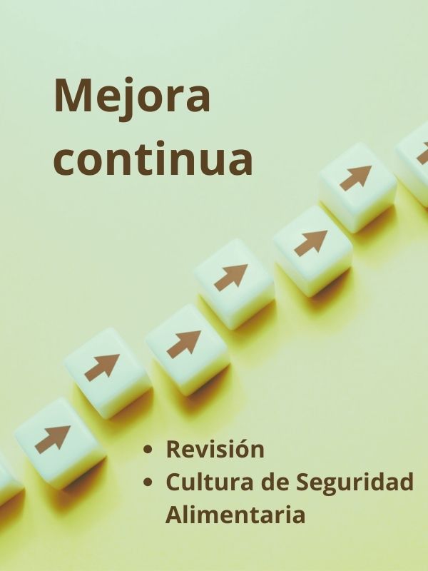plan-accion-mejora-continua