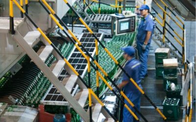 Todo sobre el Registro Sanitario de Empresas Alimentarias